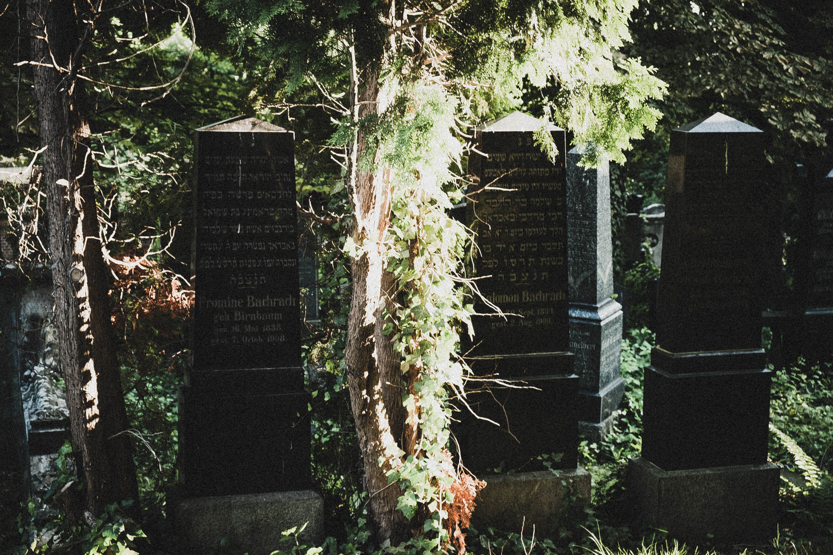 Jüdischer Friedhof Kassel-Bettenhausen